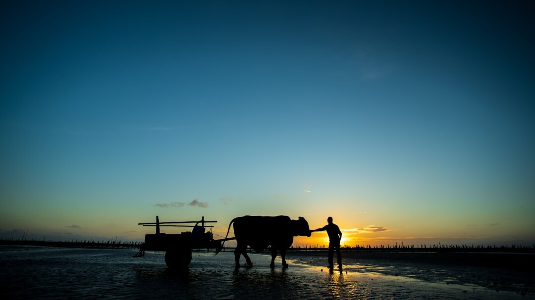 fisherman returning home